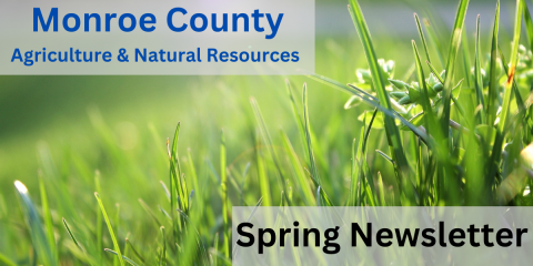 Spring Newsletter
